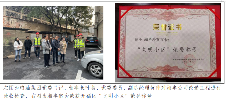 【建企70年專欄】征文活動⑨： 糧油人，我引以為傲的“標(biāo)簽”       ——寫在糧油集團(tuán)成立70周年之際